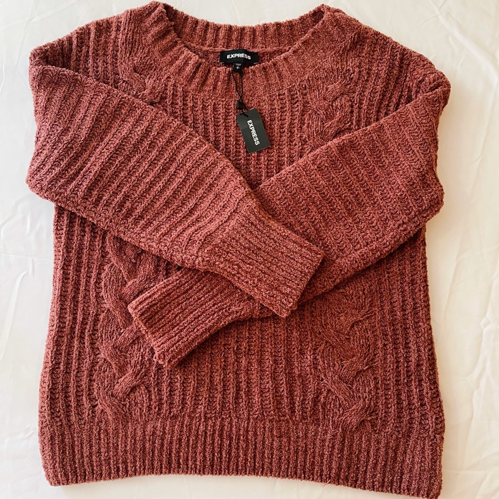 Express Mauve Chenille Sweater